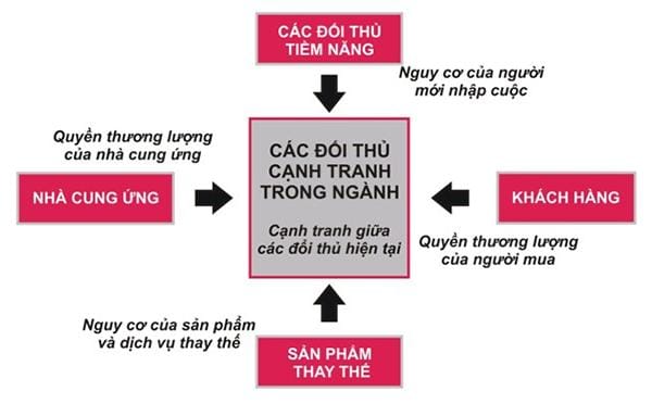 Phân Tích Môi Trường Kinh Doanh: Cơ Sở Để Xây Dựng Chiến Lược Hiệu Quả