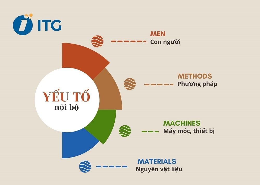 Các Yếu Tố Định Hình Hiệu Suất Tổ Chức Bền Vững